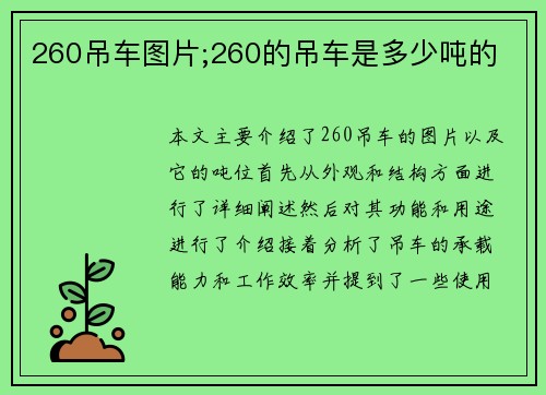 260吊车图片;260的吊车是多少吨的