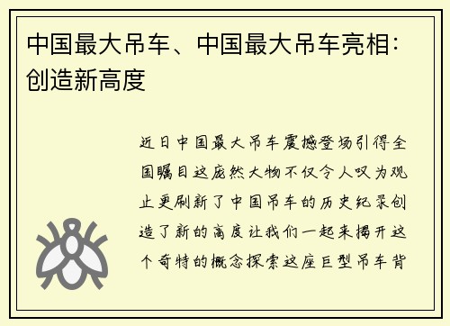 中国最大吊车、中国最大吊车亮相：创造新高度