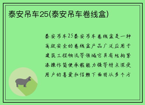 泰安吊车25(泰安吊车卷线盒)
