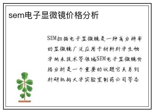 sem电子显微镜价格分析