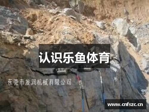 认识乐鱼体育